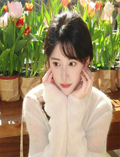 幕后花絮：《夜樱四重奏》好看吗？真实观影体验与感受分享